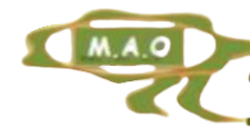 MAO Logo
